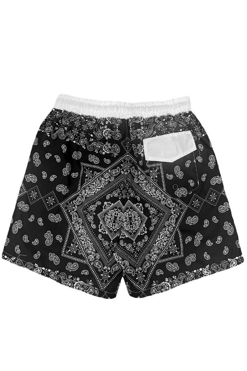 Paisley Print Swim Shorts